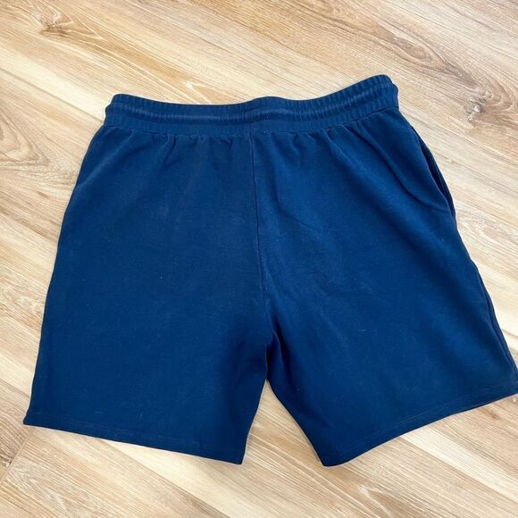 HOLSTRENGTH Men’s Blue Shorts Size Large - Picture 2 of 7